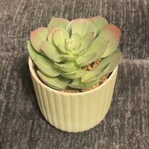 Faux Succulent Decor